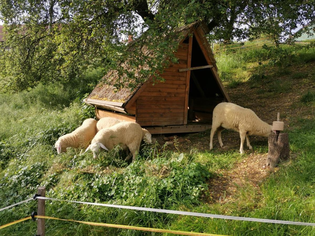 Camping Silva Ljutomer Exterior foto